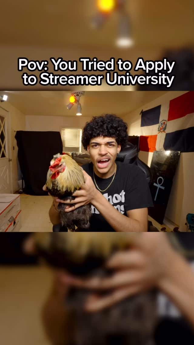 The Streamer University application